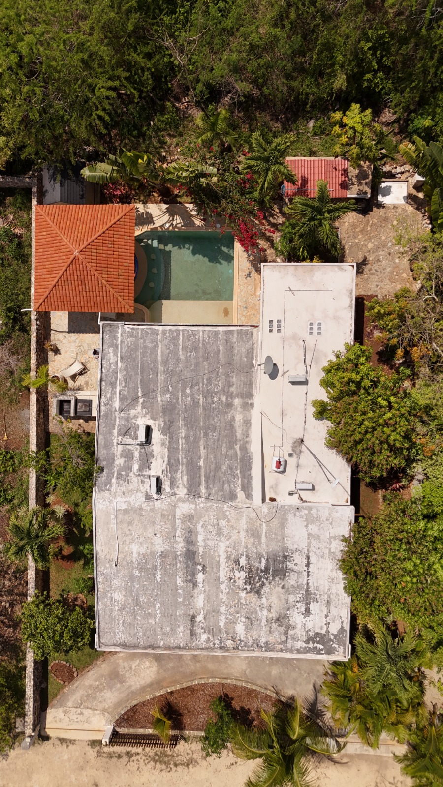 WhatsApp Image 2026-03-31 at 12.57.49 PM (1)